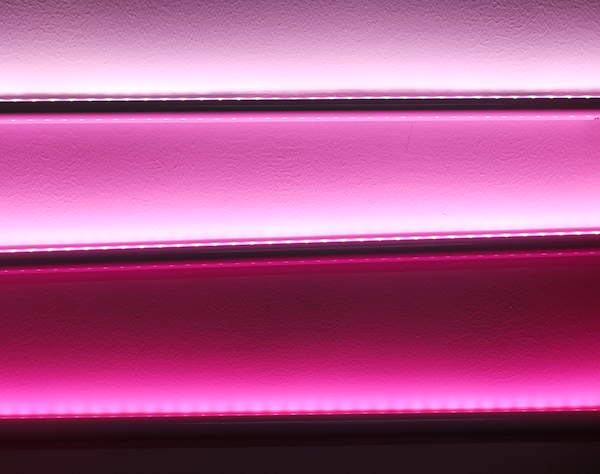 鮮肉柜專(zhuān)用桃紅光歐恩照明X5D 鮮肉柜專(zhuān)用桃紅光歐恩照明X5D