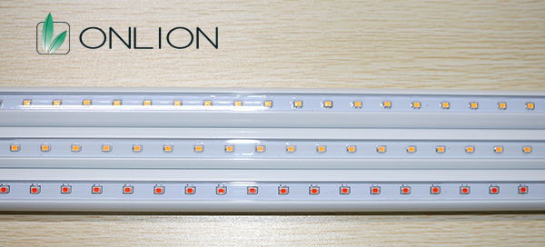 歐恩照明桃紅光冷柜燈 歐恩照明桃紅光冷柜燈